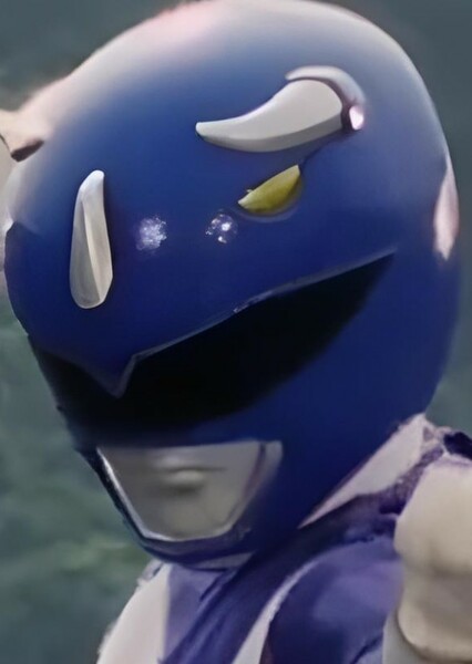 The Blue Mighty Morphin Power Ranger photo