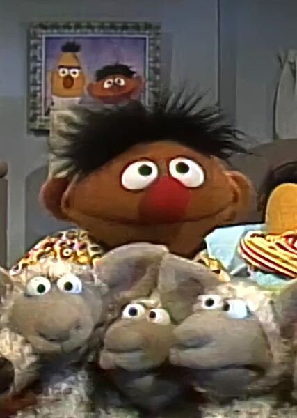 The Boogie Woogie Sheep