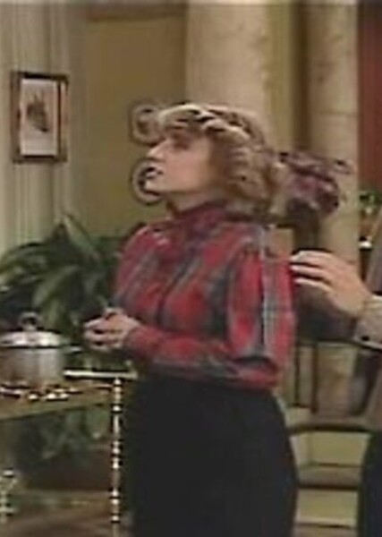 The Boyfriend (Diff'rent Strokes)