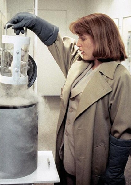 The Erlenmeyer Flask