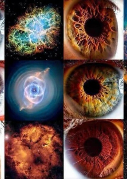 The Eyes of the Universe photo