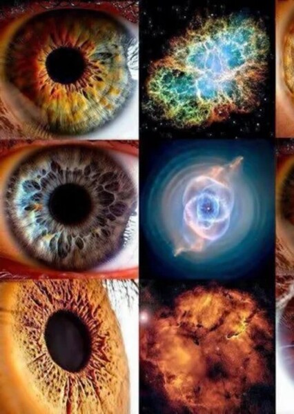 The Eyes of the Universe photo