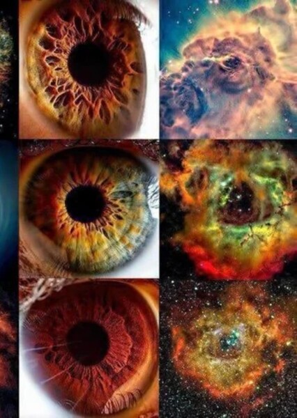 The Eyes of the Universe photo