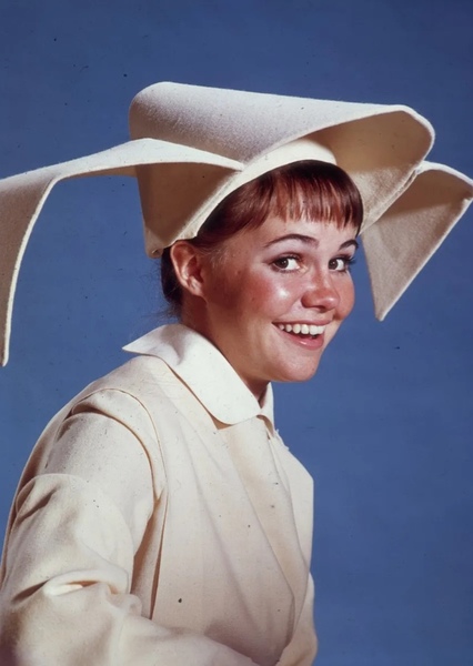 The Flying Nun