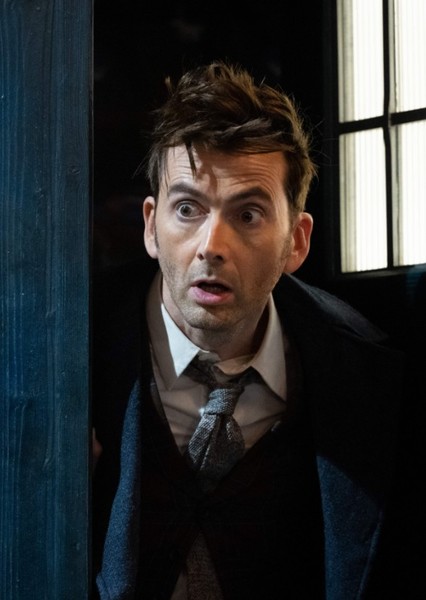 The Fourteenth Doctor photo