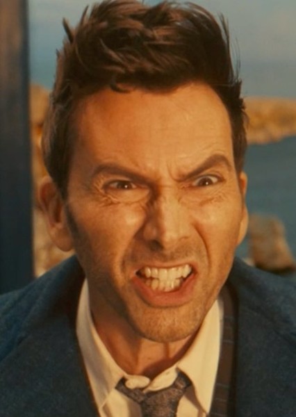 The Fourteenth Doctor photo