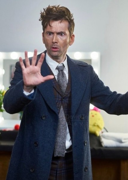 The Fourteenth Doctor photo
