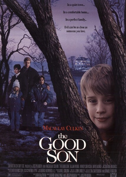 The Good Son