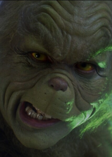 The Grinch (Jim Carrey) photo