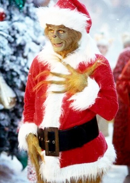 The Grinch (Jim Carrey) photo