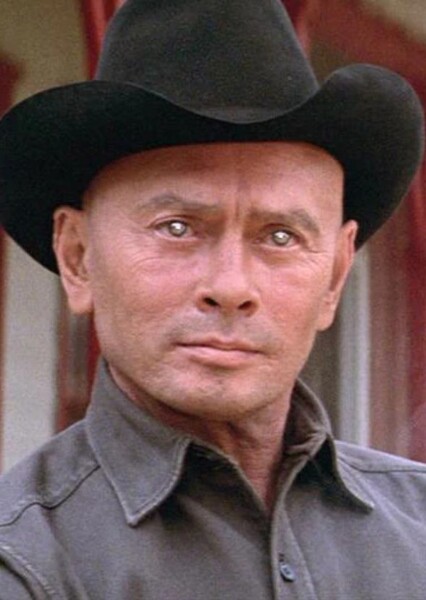 The Gunslinger (Westworld) photo