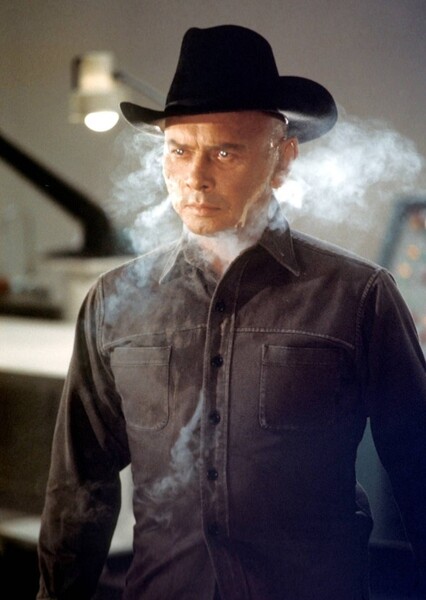 The Gunslinger (Westworld)