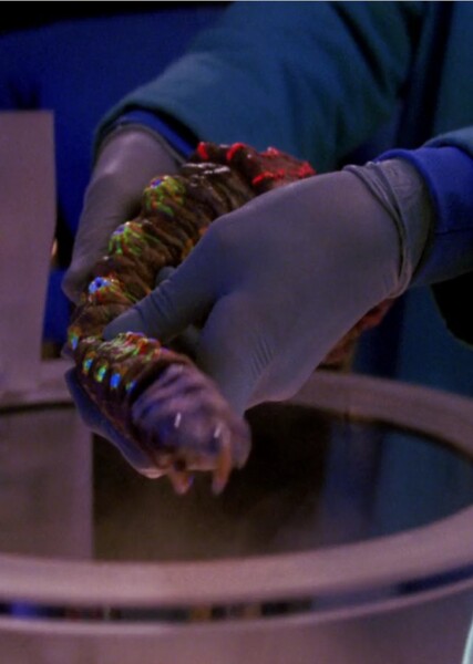The Host (Star Trek episode)