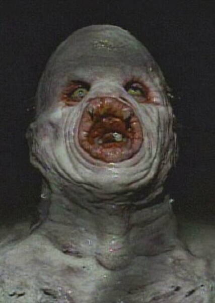 The Host (The X-Files episode)
