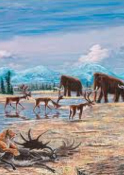 The Ice Age