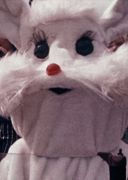 The Ice Cream Bunny Fan Casting