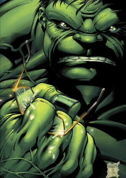The Incredible Hulk (Bruce Banner) photo