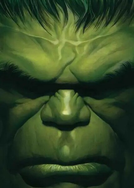 The Incredible Hulk (Bruce Banner) photo