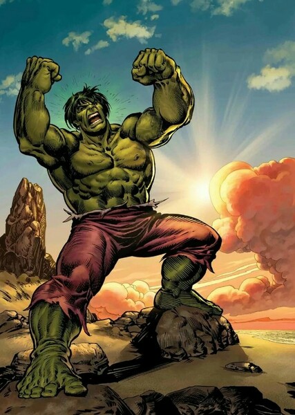 The Incredible Hulk (Bruce Banner) photo