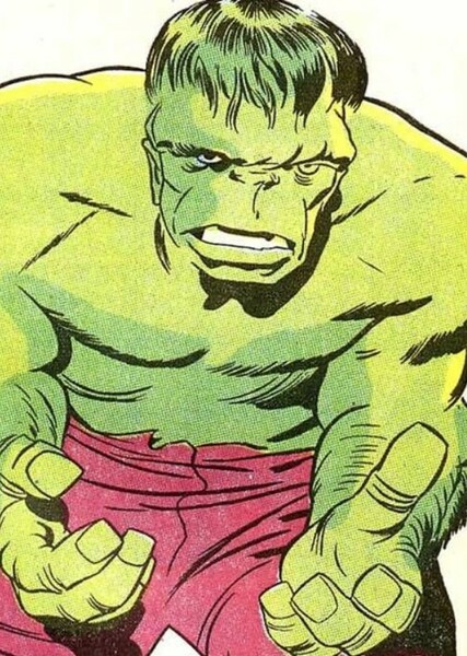 The Incredible Hulk (Bruce Banner) photo