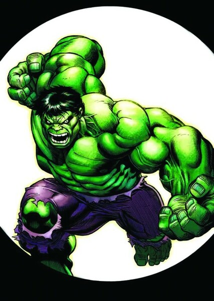 The Incredible Hulk (Bruce Banner) photo