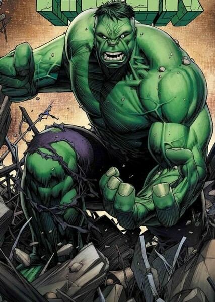 The Incredible Hulk (Bruce Banner) photo