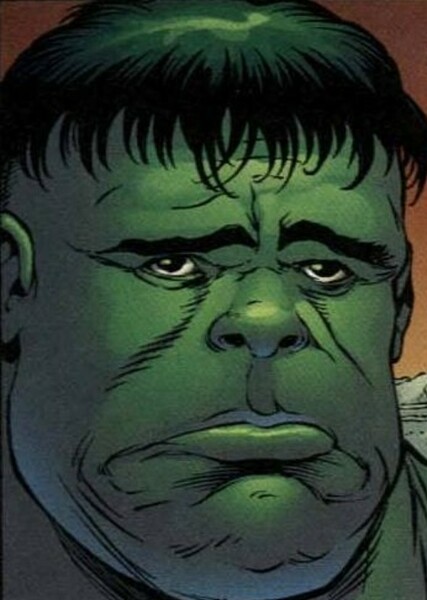 The Incredible Hulk (Bruce Banner) photo