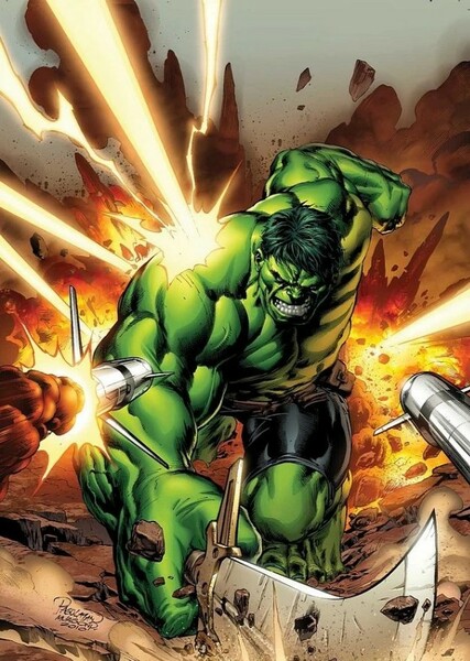 The Incredible Hulk (Bruce Banner) photo
