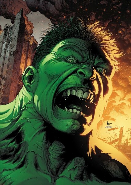 The Incredible Hulk (Bruce Banner) photo