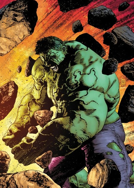The Incredible Hulk (Bruce Banner) photo