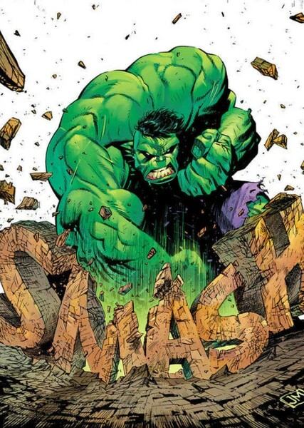 The Incredible Hulk (Bruce Banner) photo