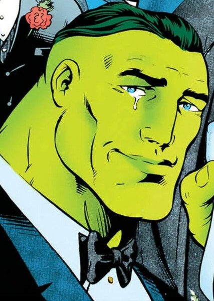 The Incredible Hulk (Bruce Banner) photo