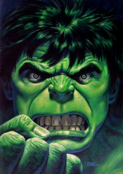 The Incredible Hulk (Bruce Banner) photo