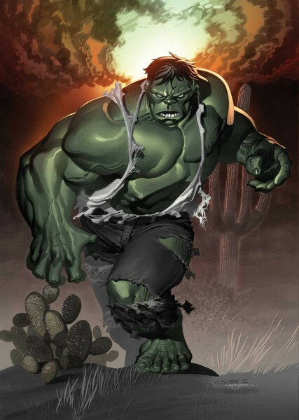 The Incredible Hulk (Bruce Banner) photo