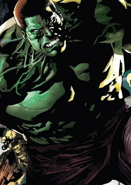 The Incredible Hulk (Bruce Banner) photo