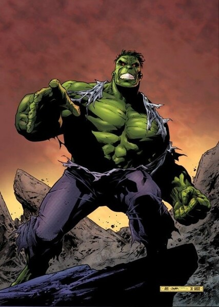 The Incredible Hulk (Bruce Banner) photo