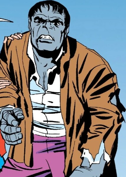 The Incredible Hulk (Bruce Banner) photo