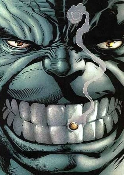 The Incredible Hulk (Bruce Banner) photo