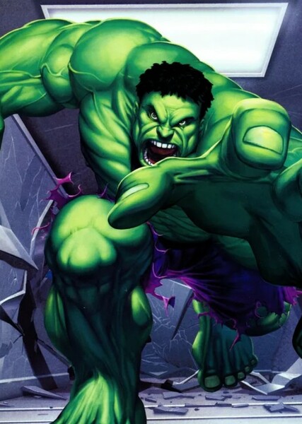 The Incredible Hulk (Bruce Banner)