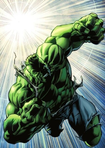 The Incredible Hulk (Bruce Banner) photo