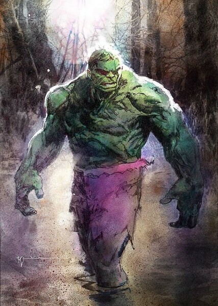 The Incredible Hulk (Bruce Banner) photo