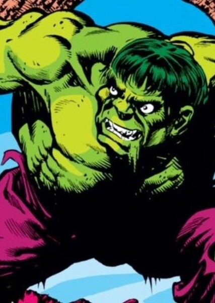 The Incredible Hulk (Bruce Banner) photo