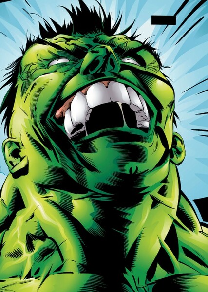 The Incredible Hulk (Bruce Banner) photo