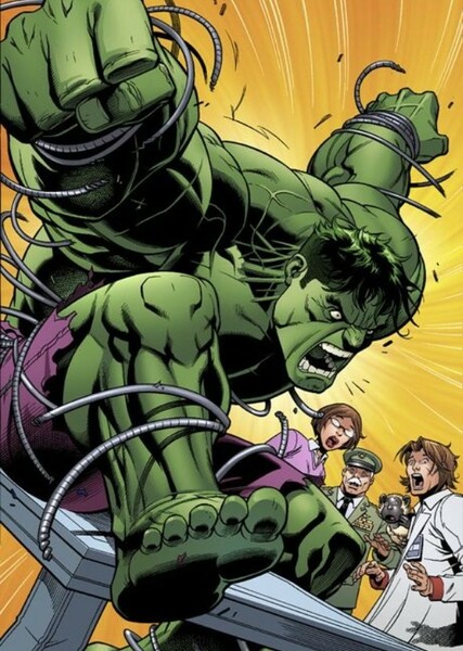 The Incredible Hulk (Bruce Banner) photo