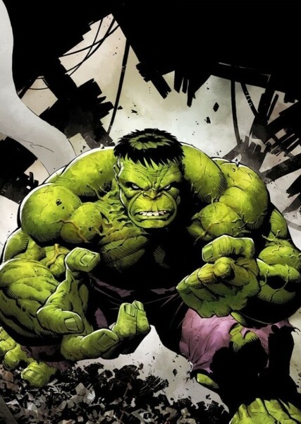 The Incredible Hulk (Bruce Banner) photo