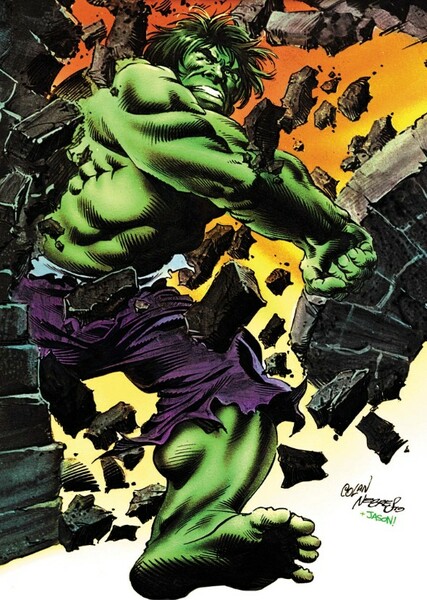 The Incredible Hulk (Bruce Banner) photo
