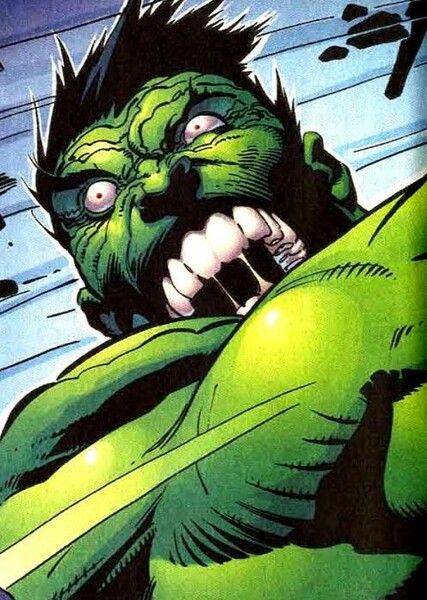 The Incredible Hulk (Bruce Banner) photo