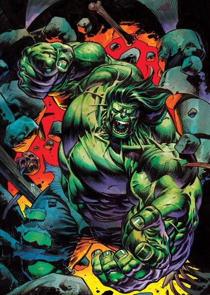 The Incredible Hulk (Bruce Banner) photo