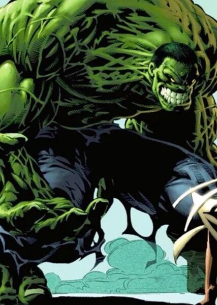The Incredible Hulk (Bruce Banner) photo