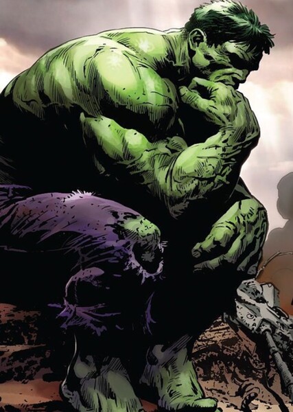 The Incredible Hulk (Bruce Banner) photo